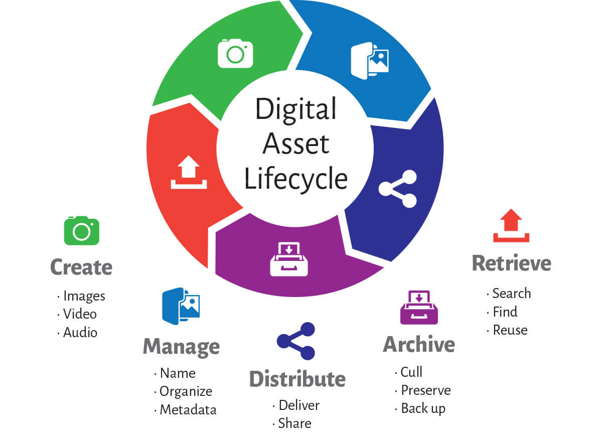 Digital Asset Lifecycle