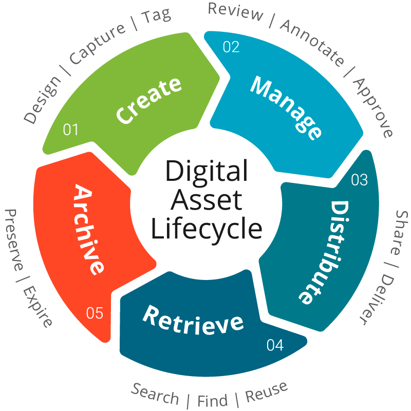 What is the digital asset lifecycle? | Filecamp