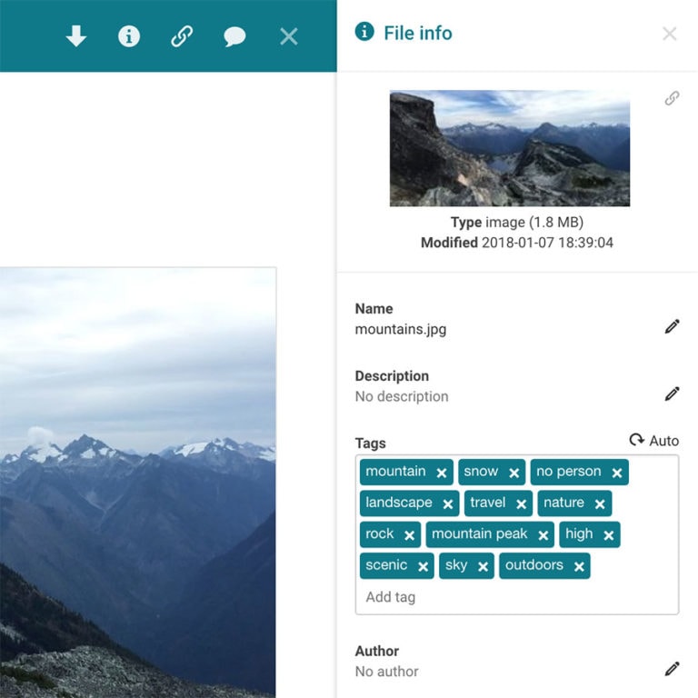 How to Create an Organized Image Library for your Business