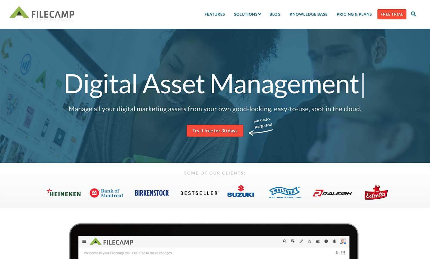  Digital Asset Management Software Online DAM