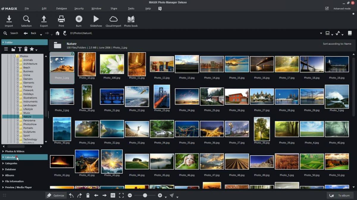Best Picks -10 Best Photo Organizing Software Program | Filecamp