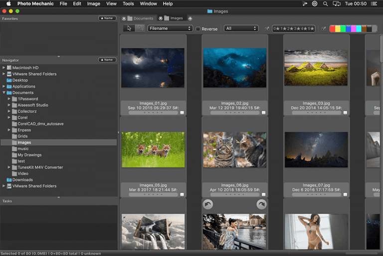 Top 12 Digital Asset Management Software For Photographers | Filecamp