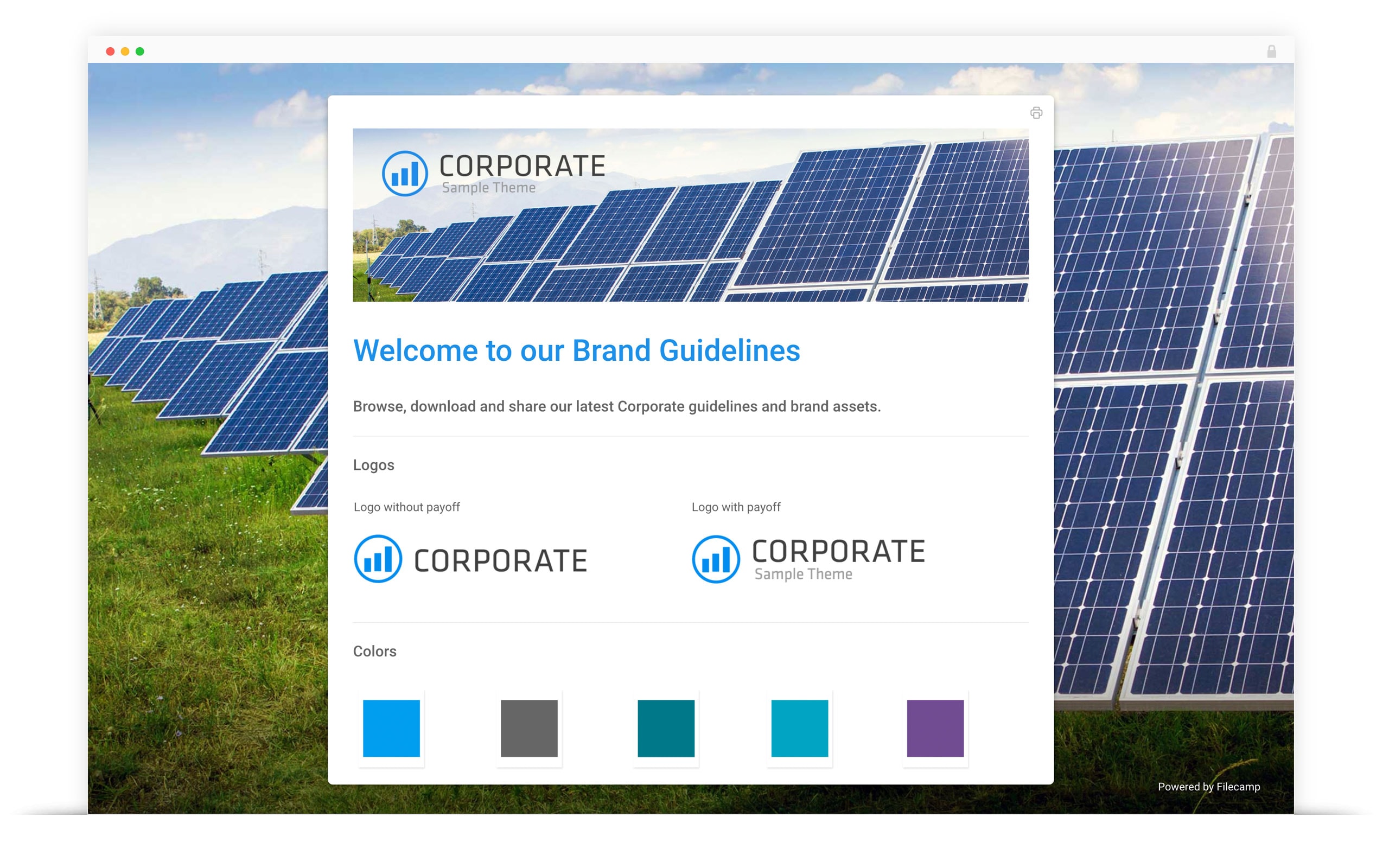 Corporate branding guidelines for solar energy company with logo and color options.