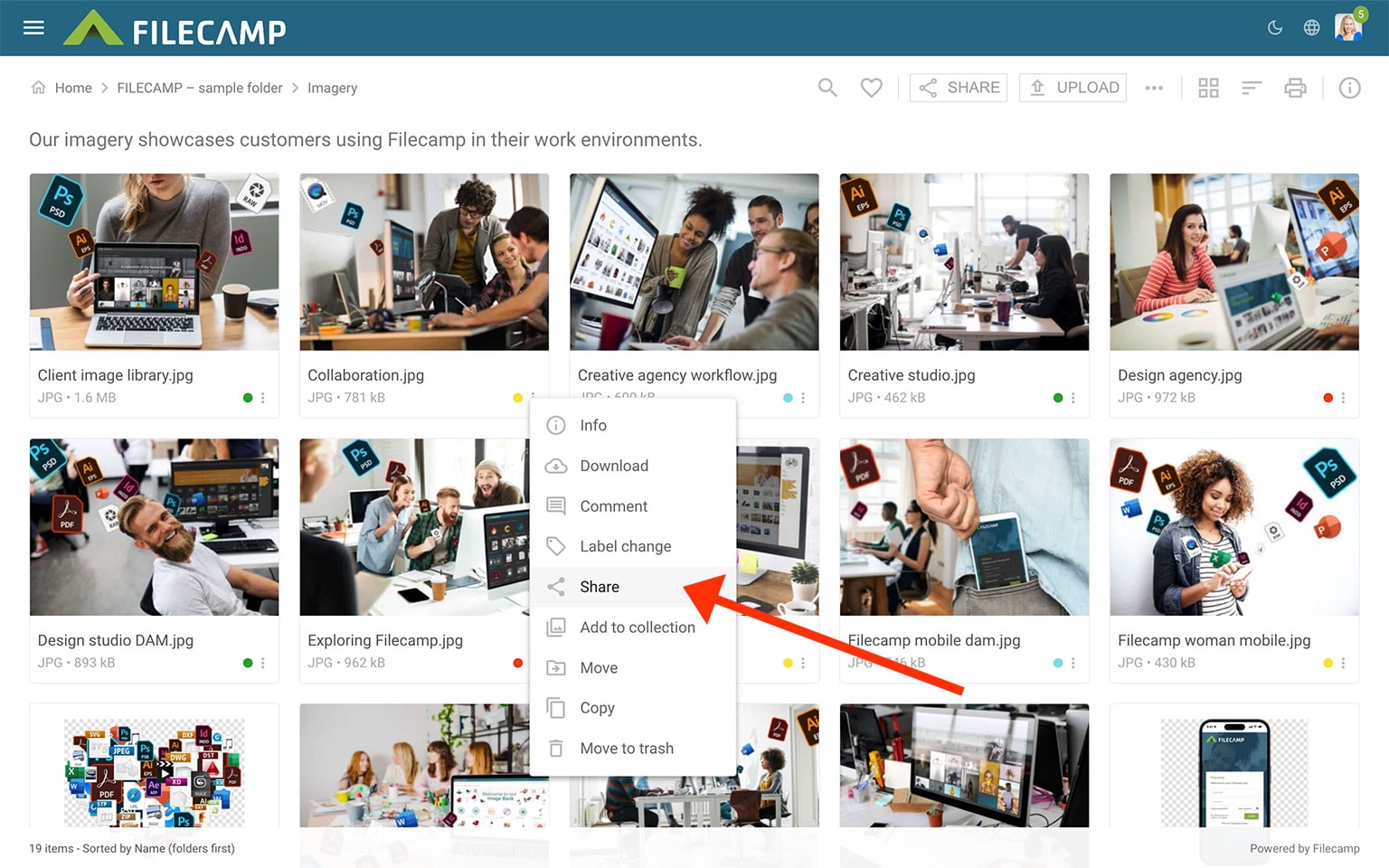 Collection of diverse creative professionals working in modern office environments.
