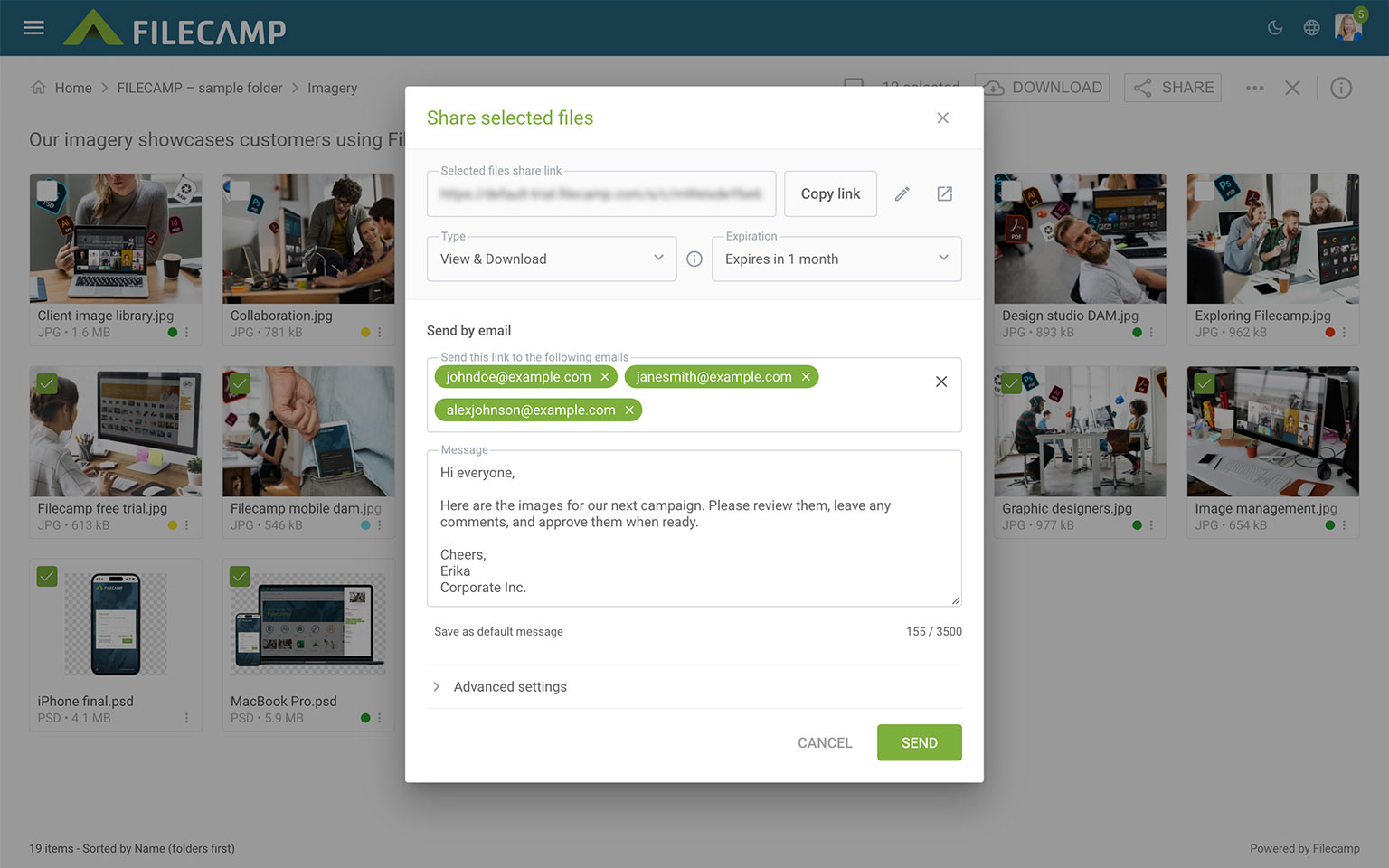 Screenshot of Filecamp image management platform with sharing options and file previews.