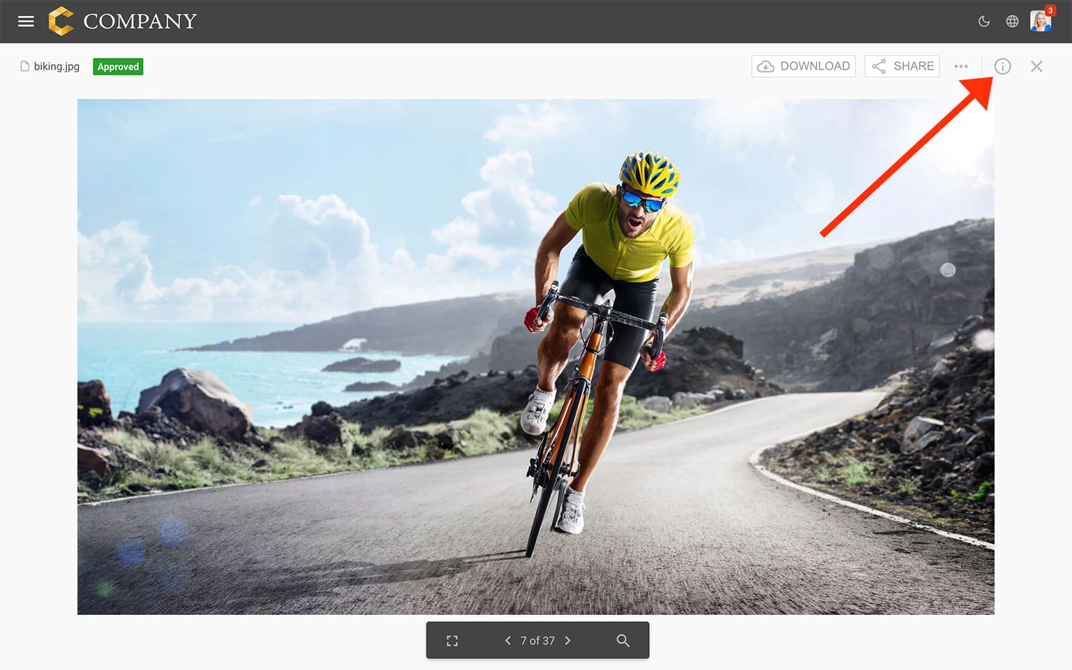 Active cyclist in yellow jersey on scenic mountain road with ocean view.