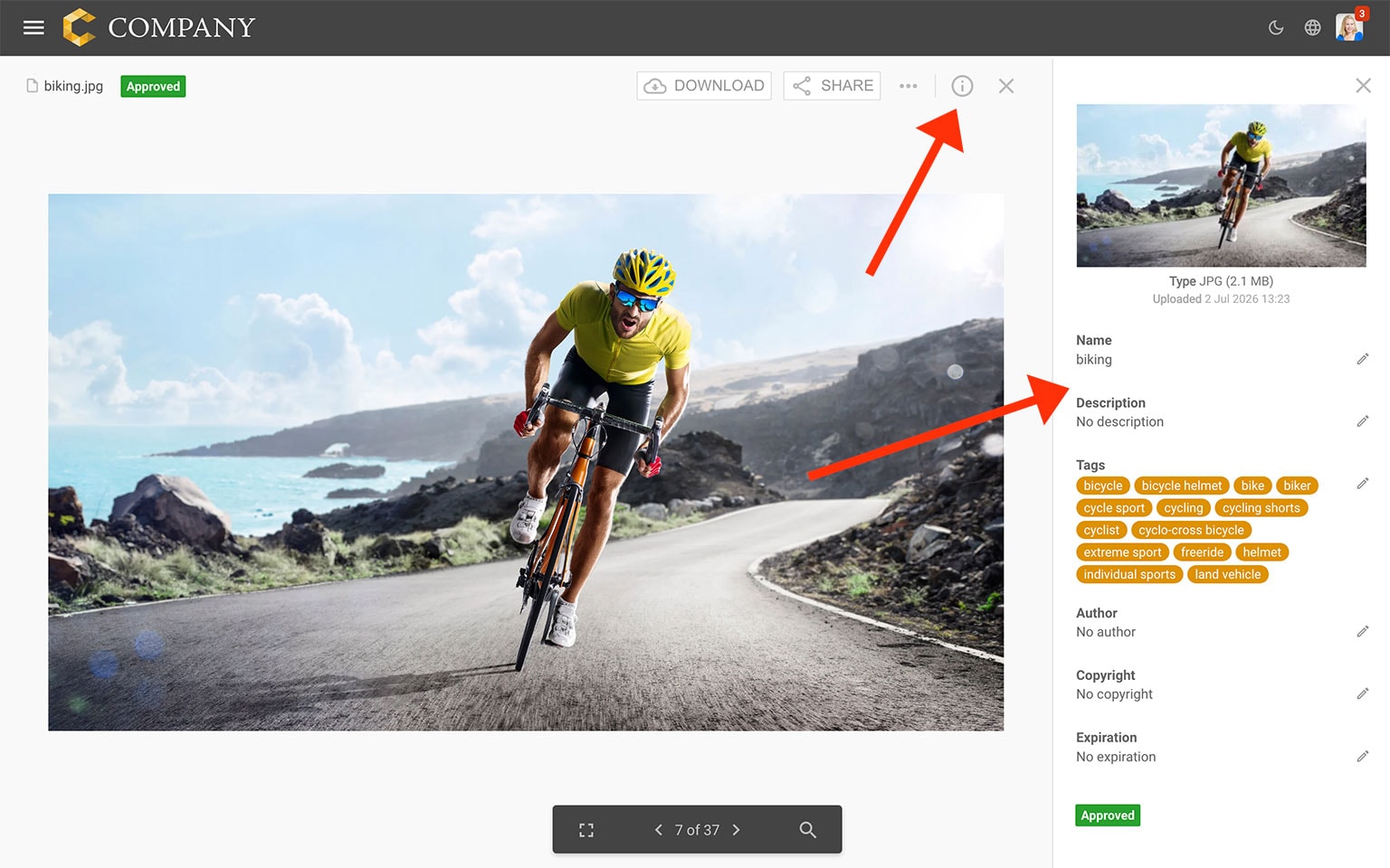 Cyclist riding on coastal mountain road with scenic ocean view.