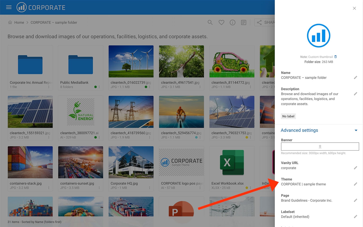 Filecamp digital asset management interface with folder and file previews.