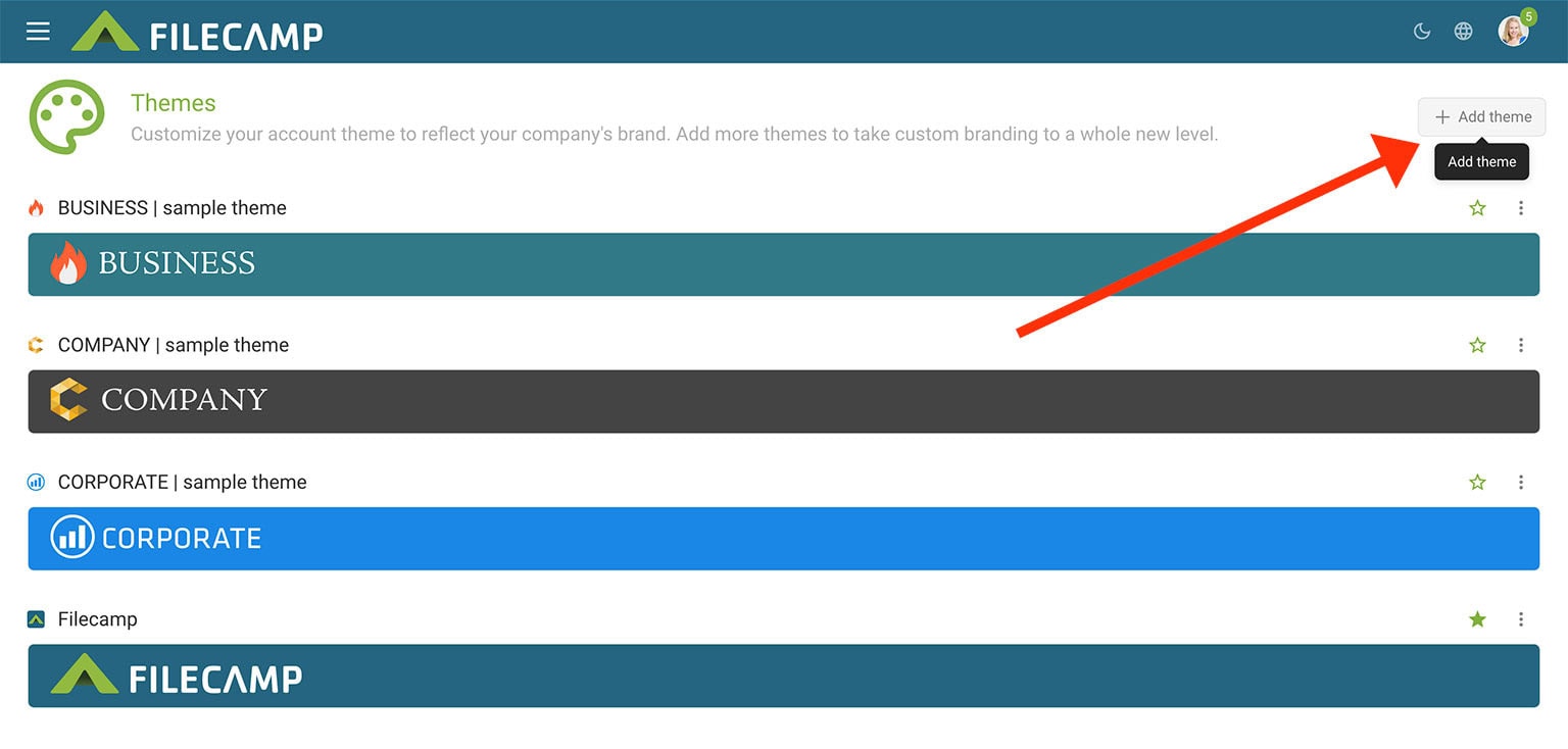 Screenshot of Filecamp themes and options interface with add theme button.