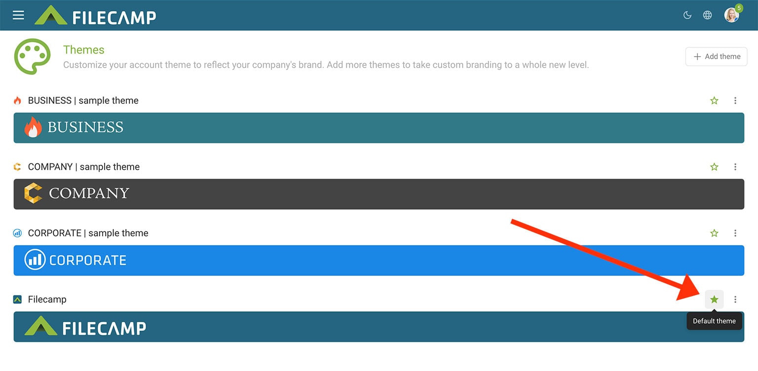 Screenshot of Filecamp platform showing theme options and customization features.