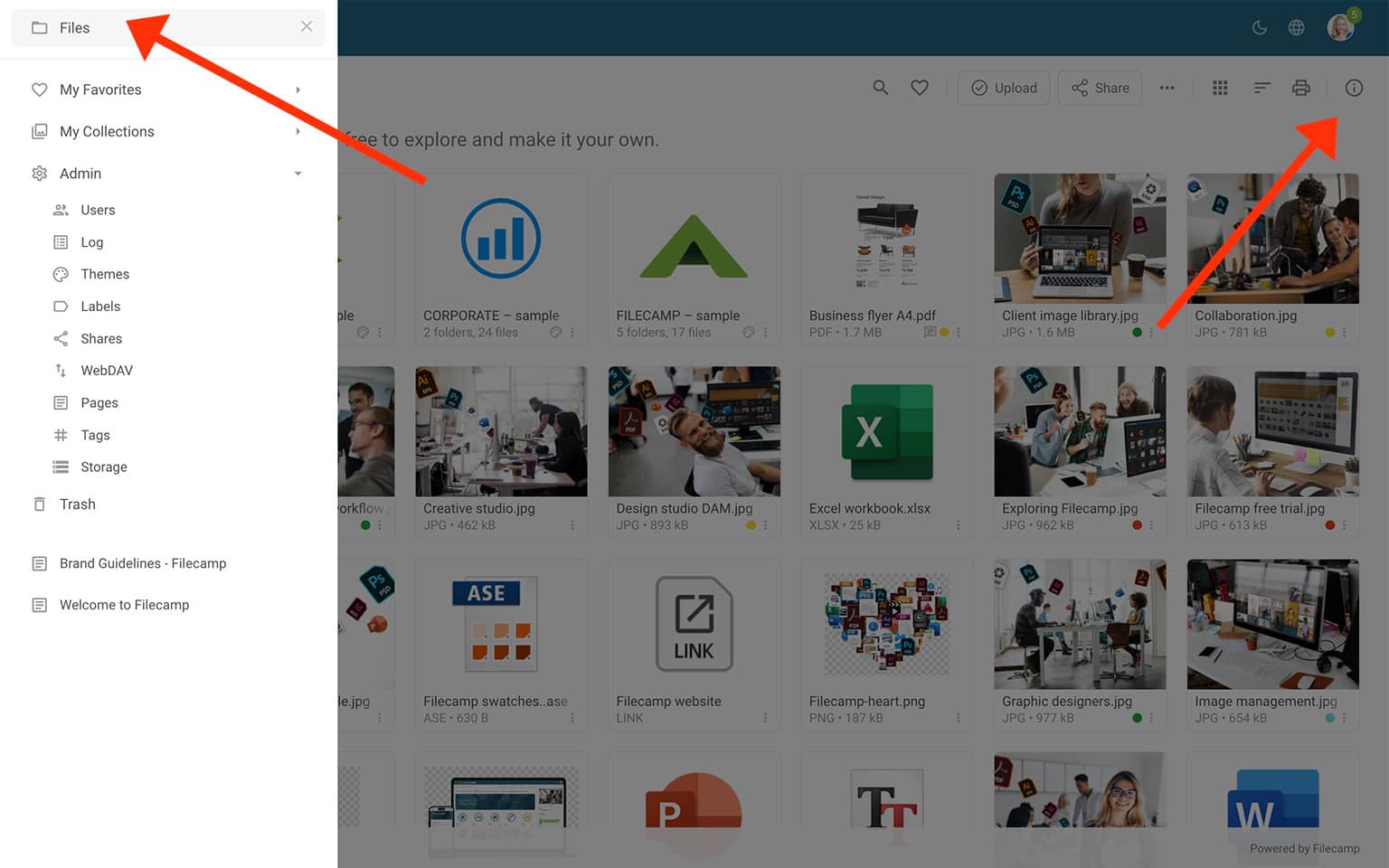 Screenshot of Filecamp online platform showcasing various digital assets and project files.