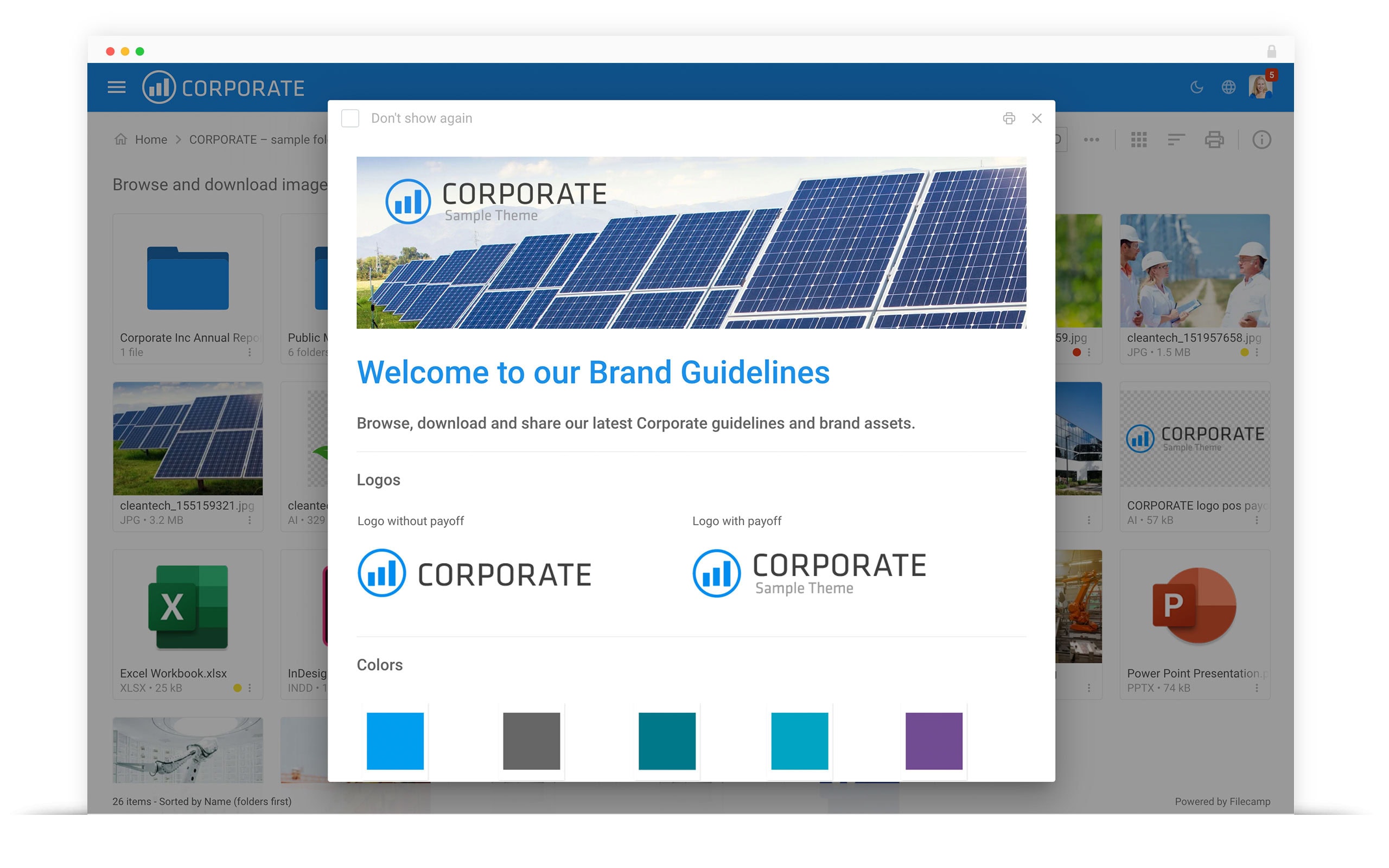 Popup window showing corporate brand guidelines and color options with solar panel background.